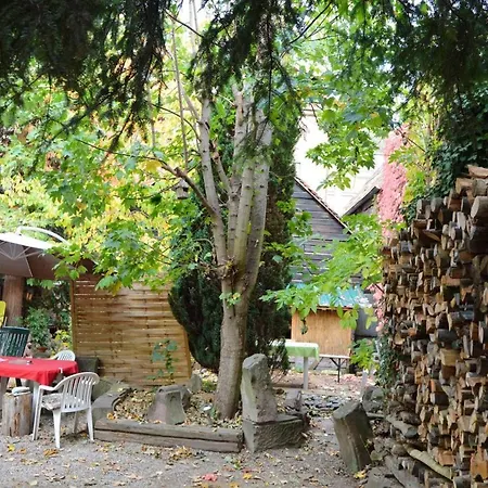Διαμέρισμα Rue Du Marechal Joffre Guebwiller